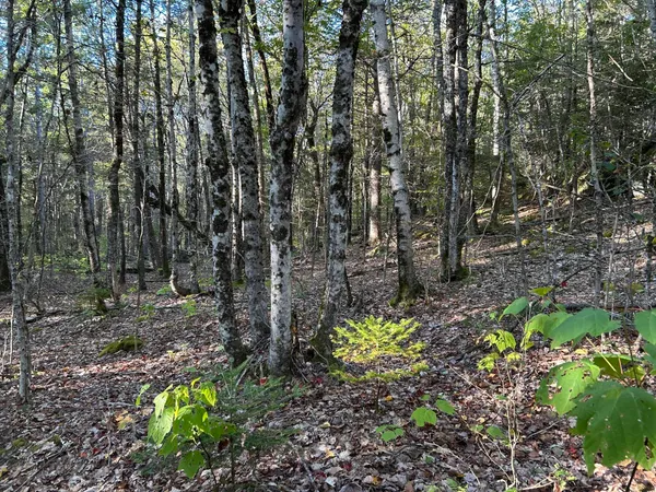 $45,000 | M6-l43 Biscay Road, Bremen, ME 04551