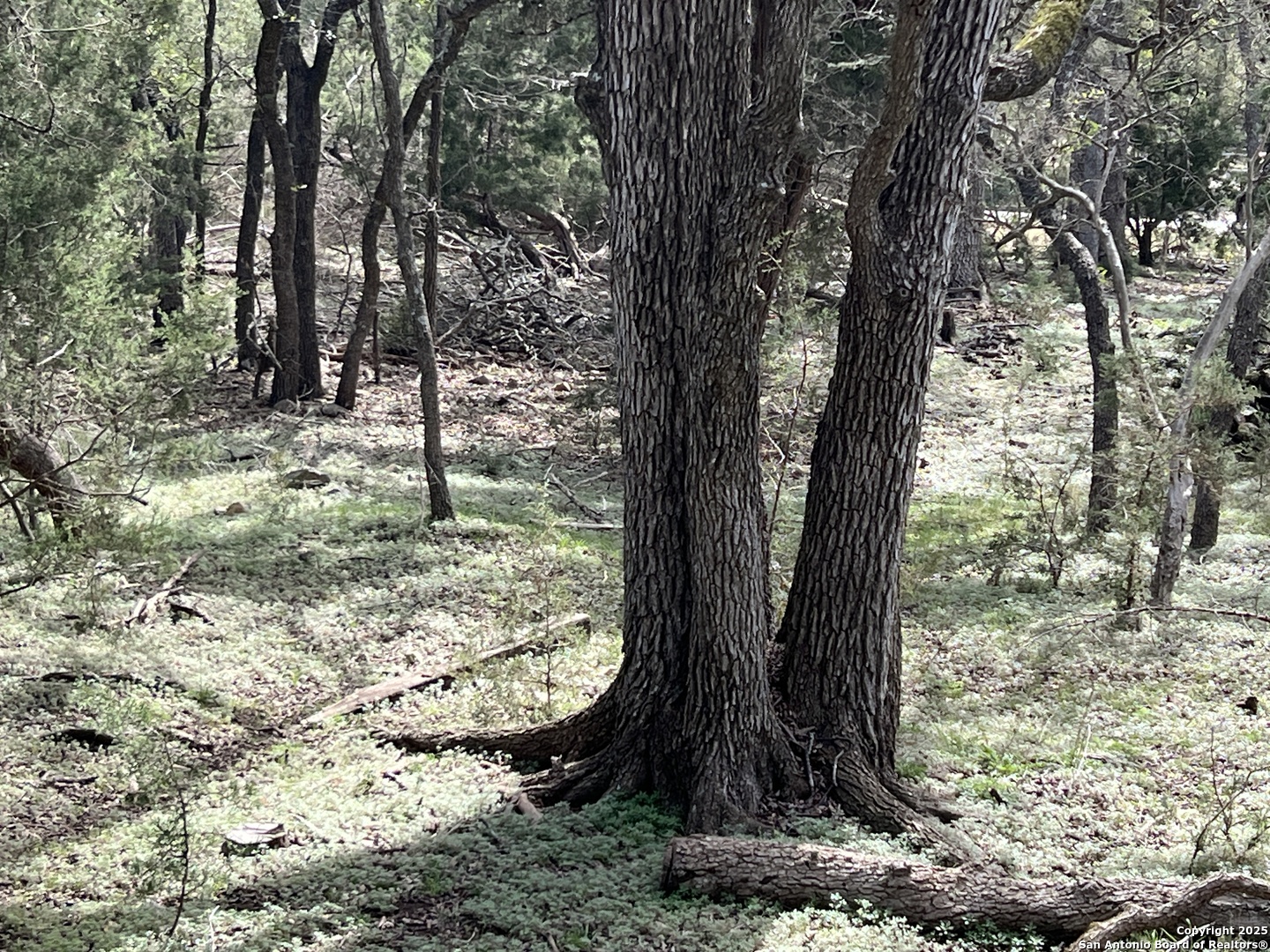 1337 Valley Springs Drive Spring Branch, TX 78070 - Photo 5 of 10