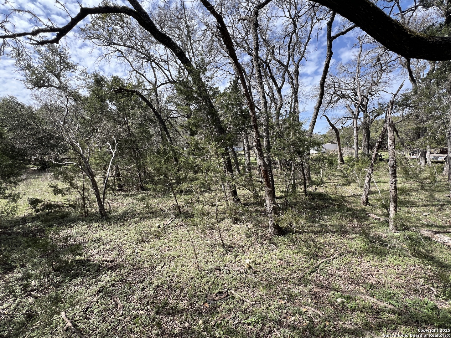 1337 Valley Springs Drive Spring Branch, TX 78070 - Photo 7 of 10