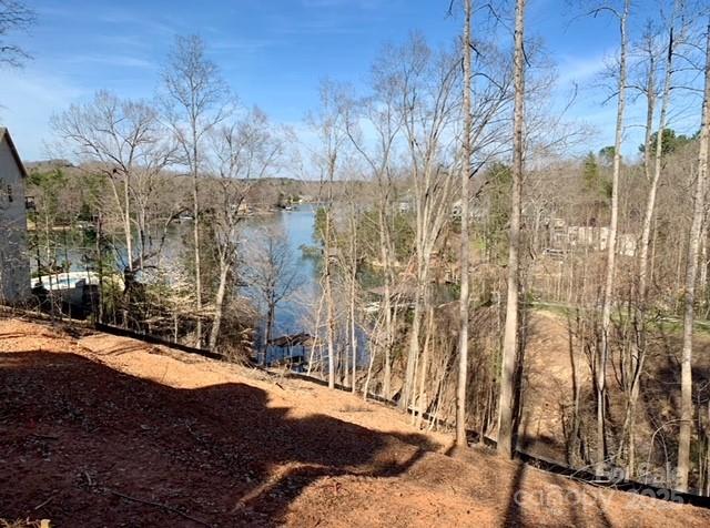 29010 Silver Fox Drive Tega Cay, SC 29708 - Photo 12 of 18