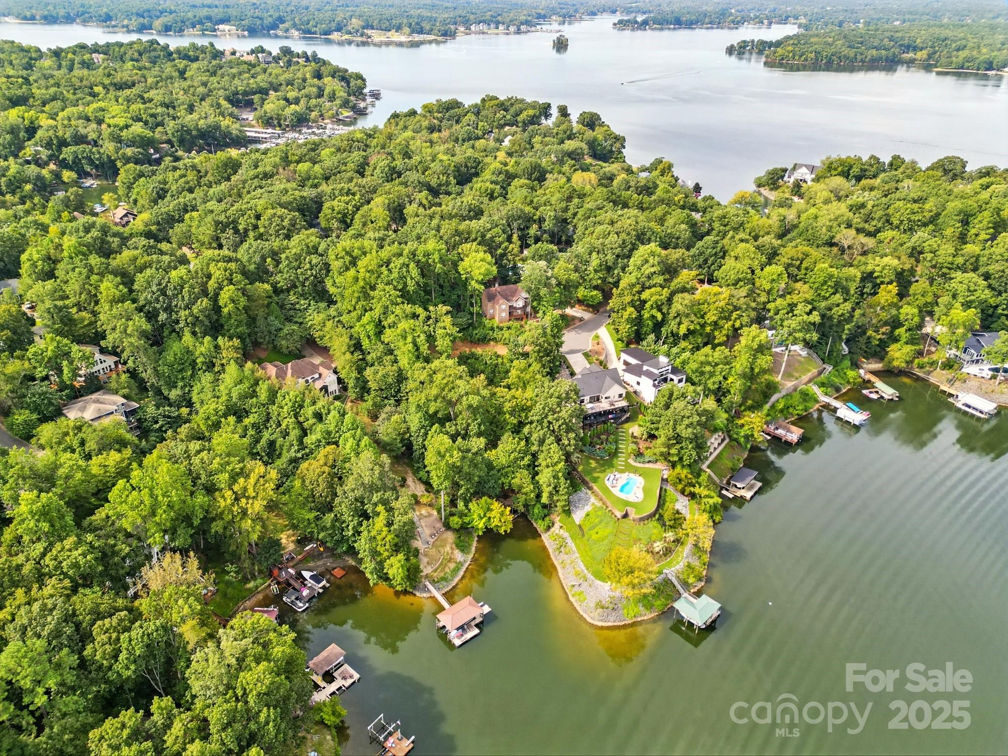 29010 Silver Fox Drive Tega Cay, SC 29708 - Photo 3 of 18