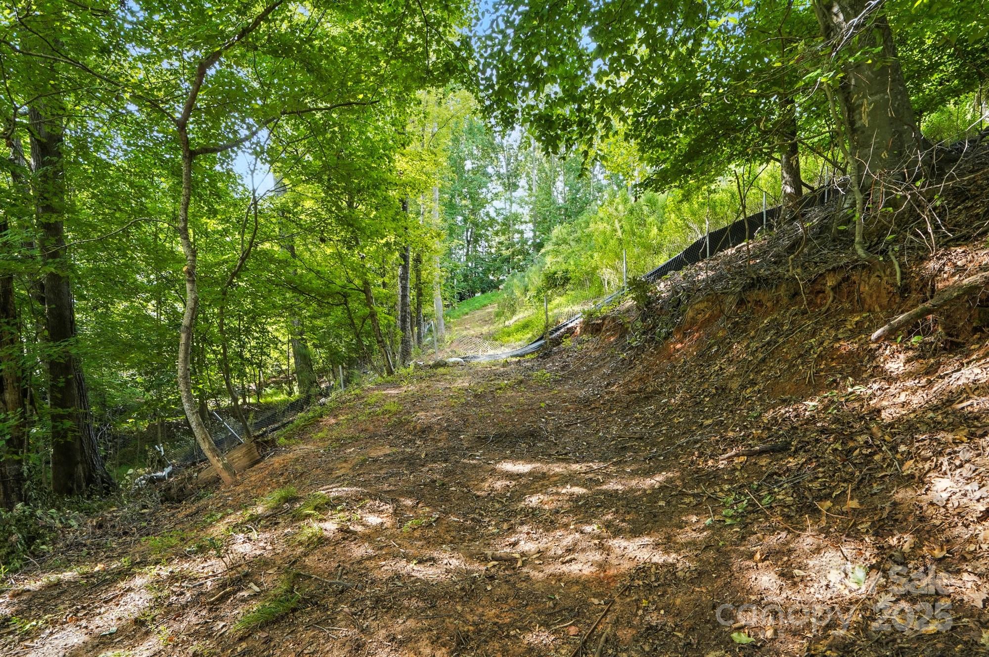 29010 Silver Fox Drive Tega Cay, SC 29708 - Photo 6 of 18