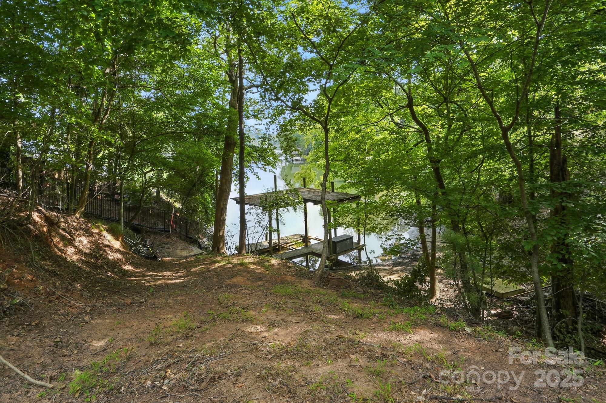 29010 Silver Fox Drive Tega Cay, SC 29708 - Photo 7 of 18