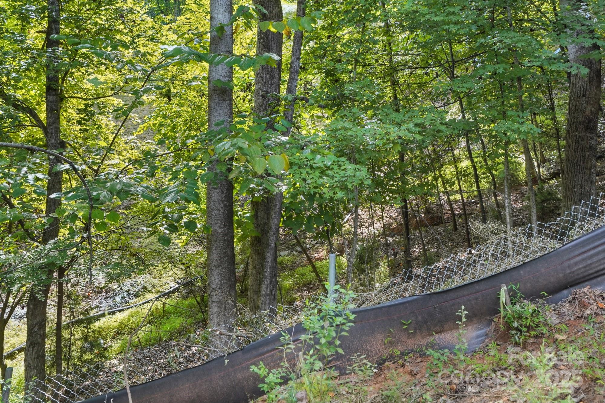 29010 Silver Fox Drive Tega Cay, SC 29708 - Photo 8 of 18