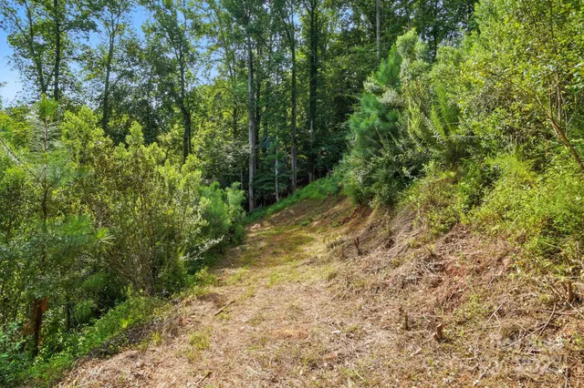 $375,000 | 29010 Silver Fox Drive, Tega Cay, SC 29708