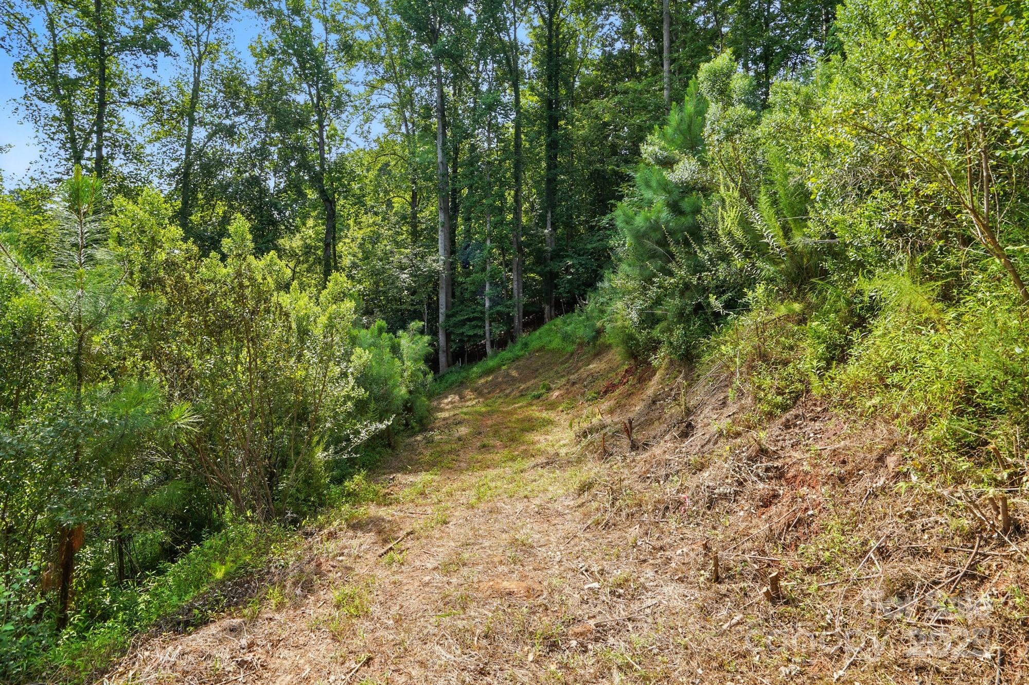 29010 Silver Fox Drive Tega Cay, SC 29708 - Photo 10 of 18
