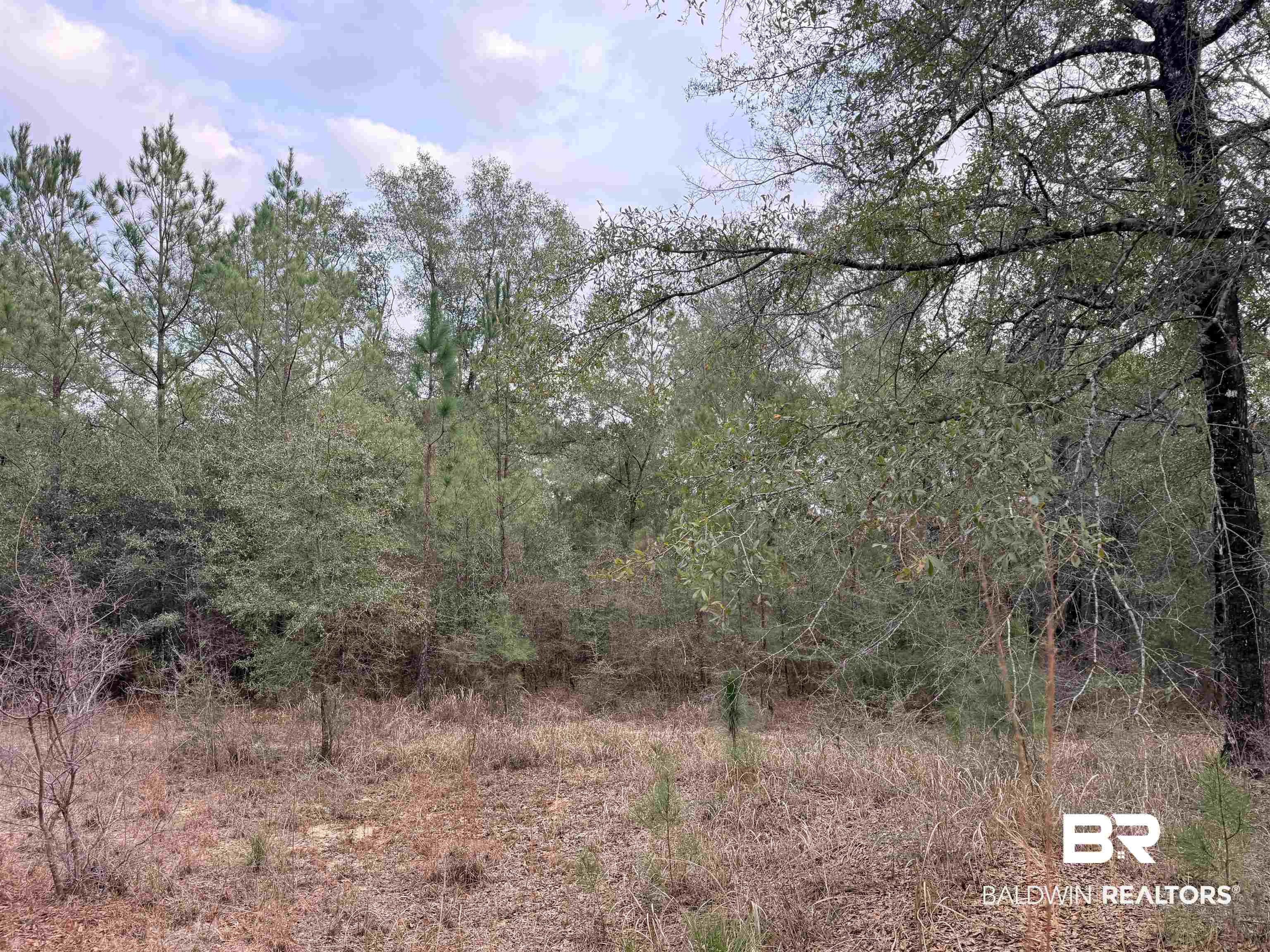 9325 Georgetown Hills Road West Wilmer, AL 36587 - Photo 5 of 11