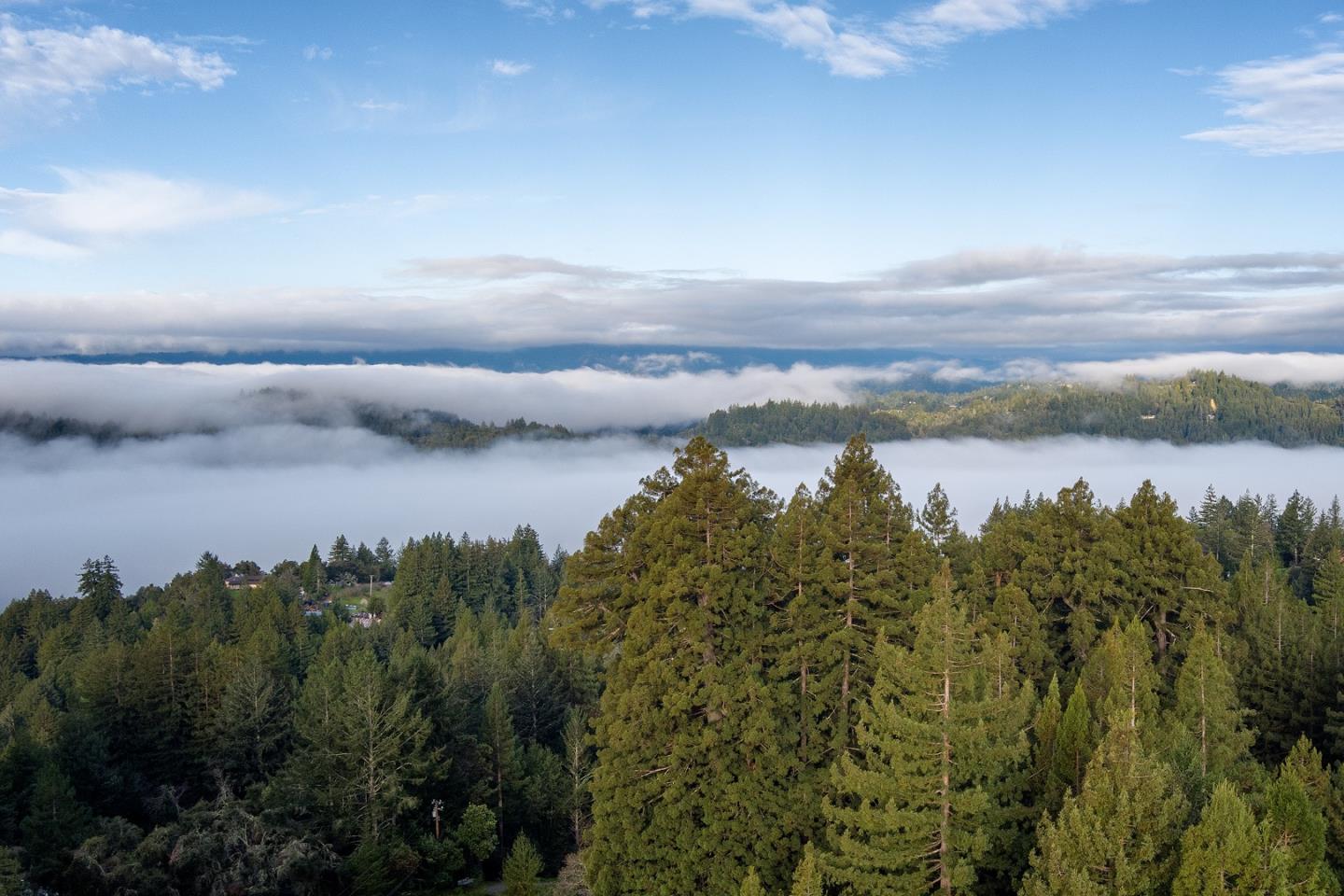 30 Ocean View Road Los Gatos, CA 95033 - Photo 39 of 40 a view of a lake in middle of forest