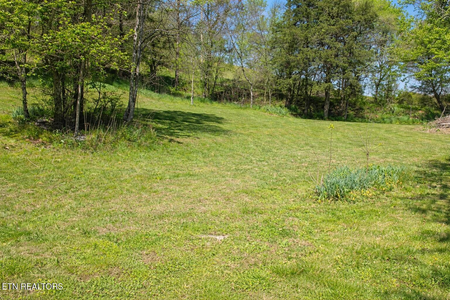 2354 Walker Ford Road Maynardville, TN 37807 - Photo 21 of 23 26058