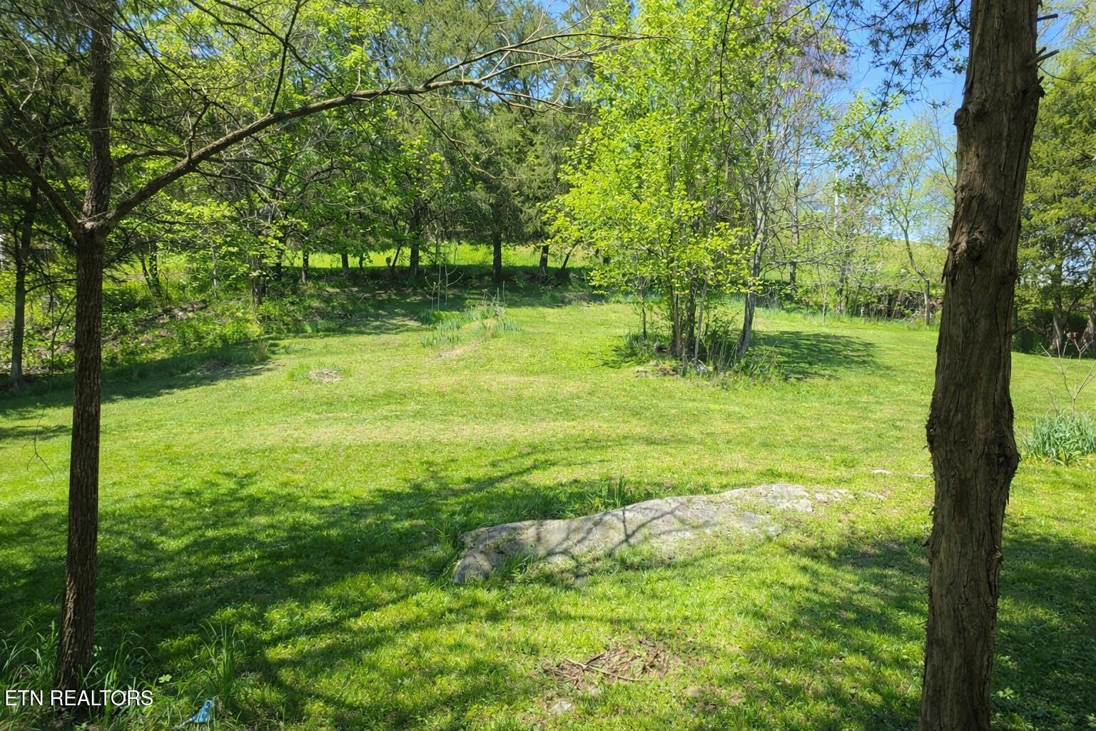 2354 Walker Ford Road Maynardville, TN 37807 - Photo 6 of 23 26062