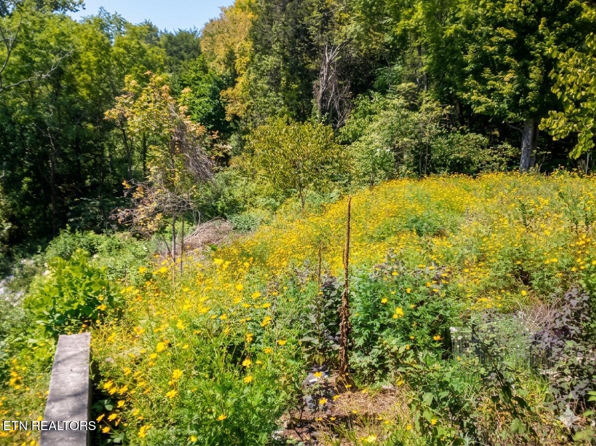 2354 Walker Ford Road Maynardville, TN 37807 - Photo 7 of 23 26070