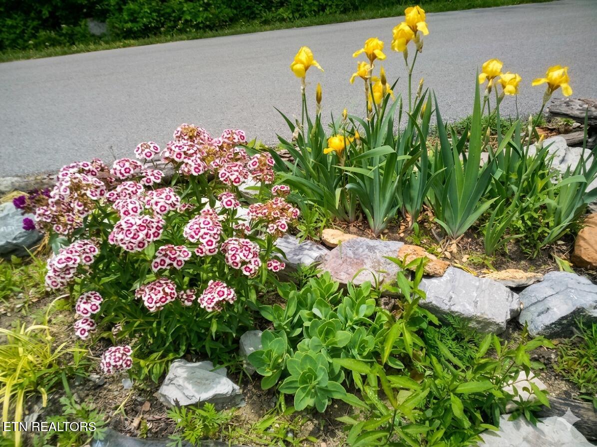 2354 Walker Ford Road Maynardville, TN 37807 - Photo 8 of 23 26069