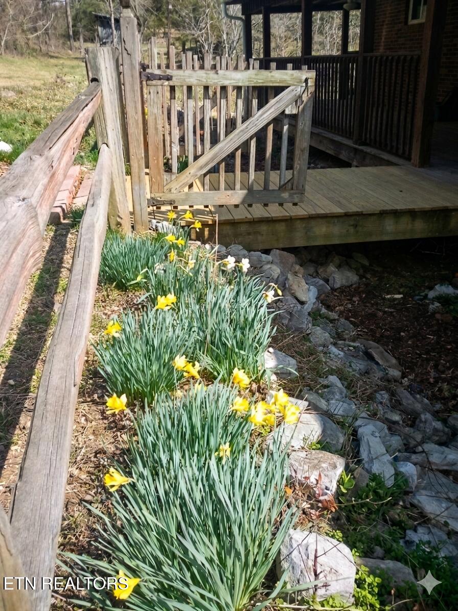 2354 Walker Ford Road Maynardville, TN 37807 - Photo 9 of 23 26068