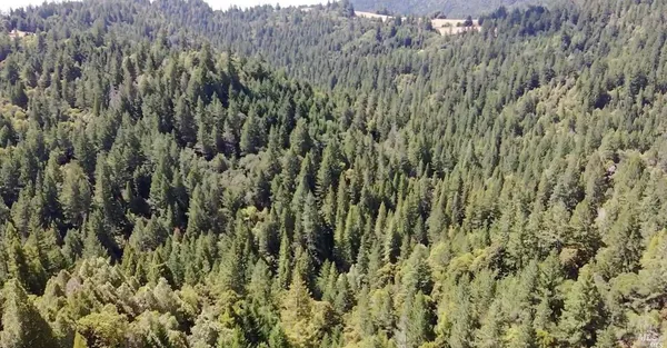 $5,250,000 | 0 Mountain View Road, Manchester, CA 95459