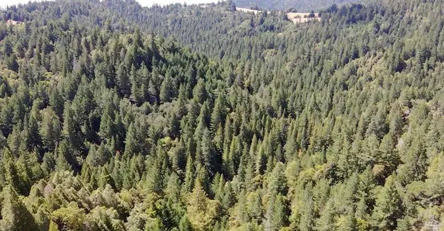 $5,250,000 | 0 Mountain View Road, Manchester, CA 95459