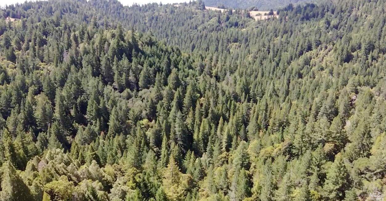 0 Mountain View Road Manchester, CA 95459 - Photo 16 of 40