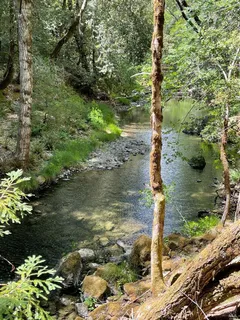 $5,250,000 | 0 Mountain View Road, Manchester, CA 95459