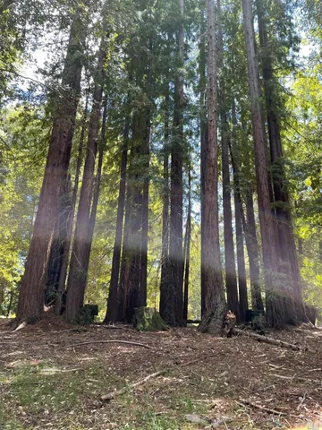 $5,250,000 | 0 Mountain View Road, Manchester, CA 95459