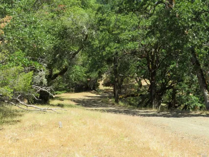 $5,250,000 | 0 Mountain View Road, Manchester, CA 95459