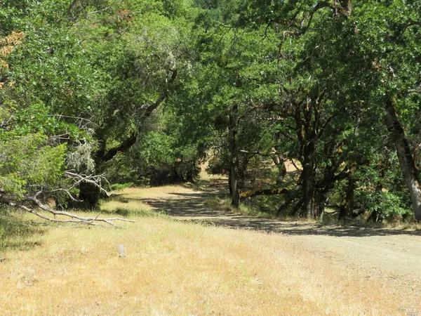 $5,250,000 | 0 Mountain View Road, Manchester, CA 95459