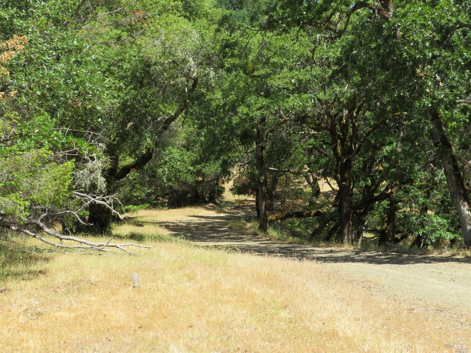 0 Mountain View Road Manchester, CA 95459 - Photo 20 of 40