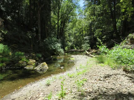 $5,250,000 | 0 Mountain View Road, Manchester, CA 95459