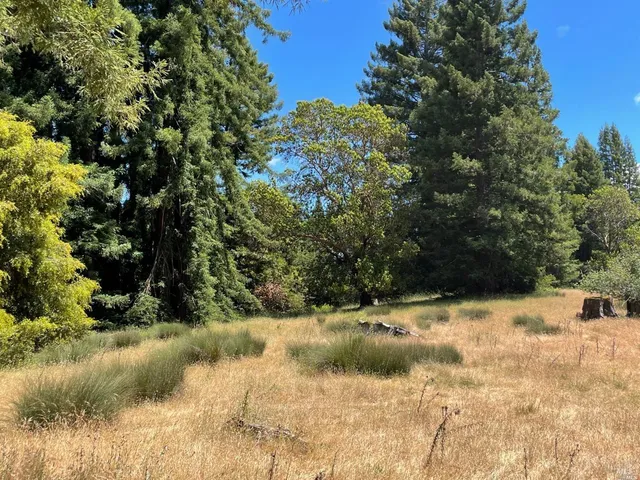 $5,250,000 | 0 Mountain View Road, Manchester, CA 95459