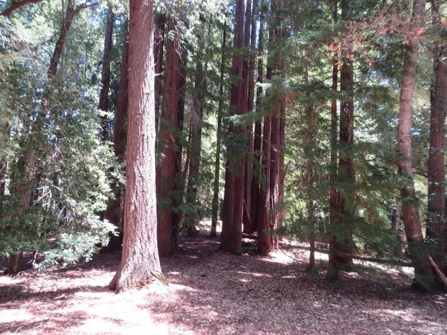 $5,250,000 | 0 Mountain View Road, Manchester, CA 95459