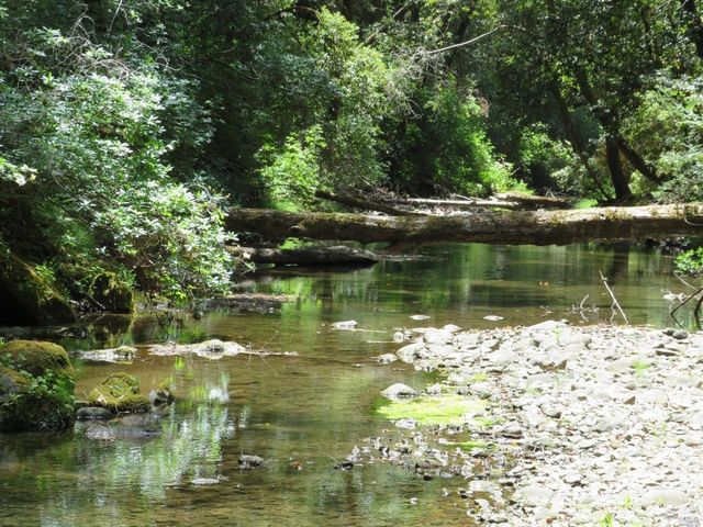 $5,250,000 | 0 Mountain View Road, Manchester, CA 95459