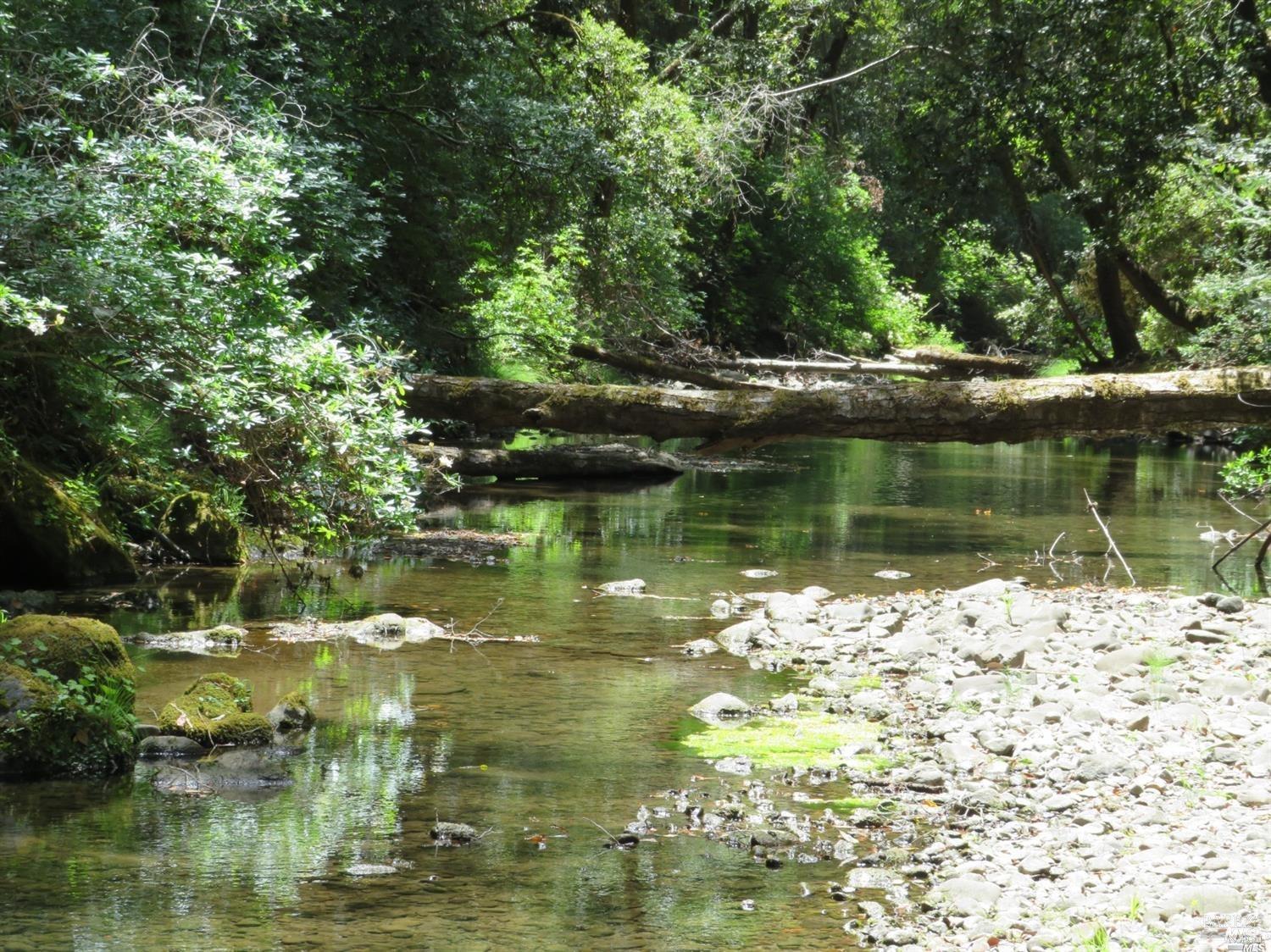 0 Mountain View Road Manchester, CA 95459 - Photo 27 of 40