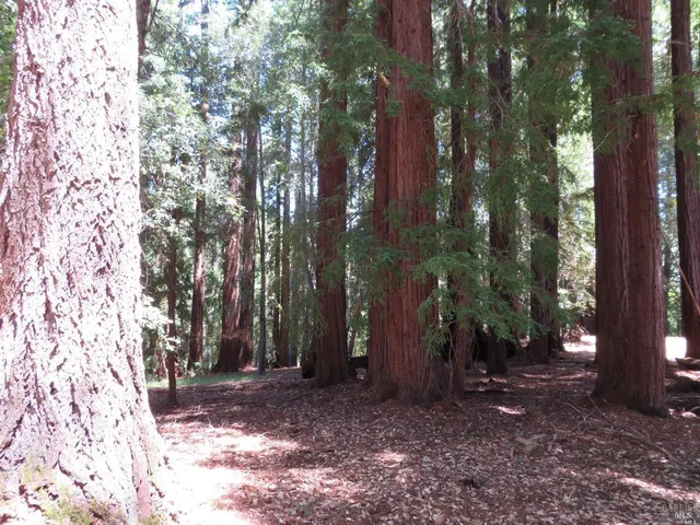 $5,250,000 | 0 Mountain View Road, Manchester, CA 95459