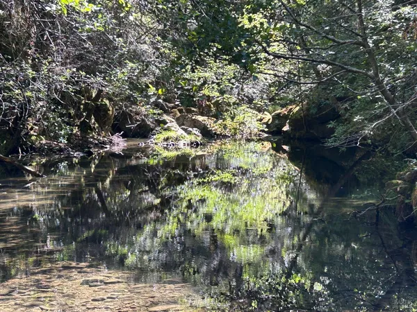 $5,250,000 | 0 Mountain View Road, Manchester, CA 95459