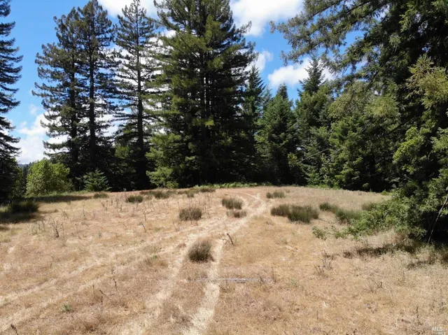 $5,250,000 | 0 Mountain View Road, Manchester, CA 95459