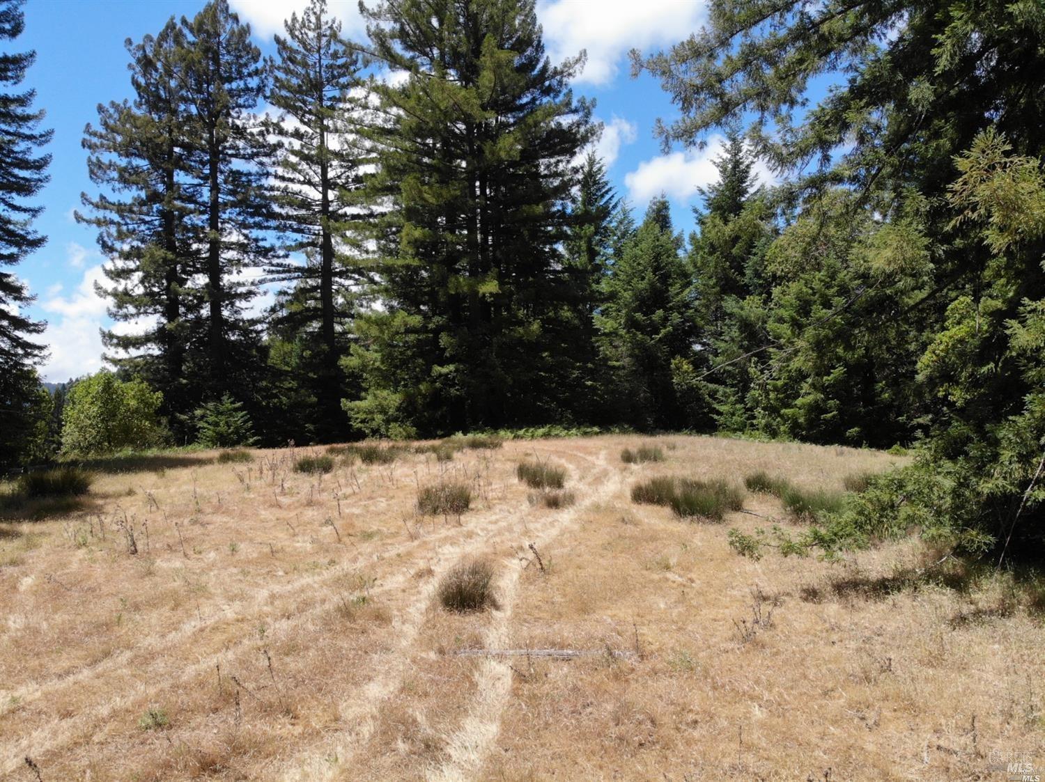 0 Mountain View Road Manchester, CA 95459 - Photo 33 of 40