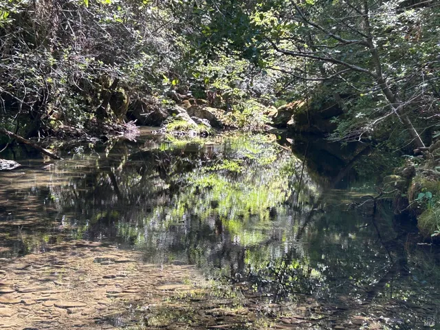 $5,250,000 | 0 Mountain View Road, Manchester, CA 95459