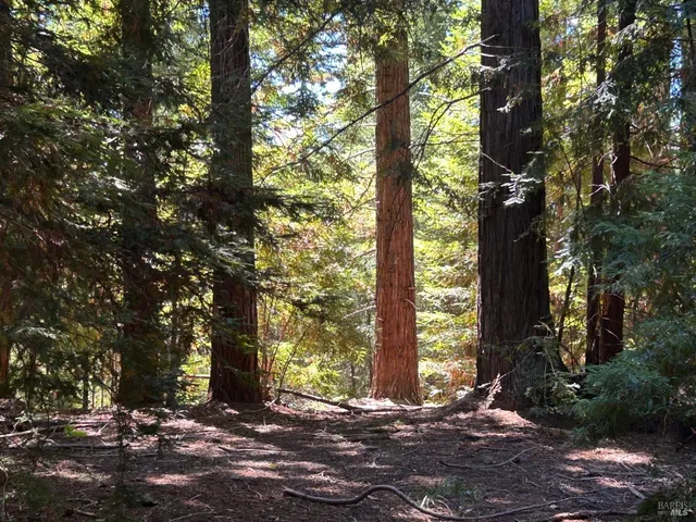 $5,250,000 | 0 Mountain View Road, Manchester, CA 95459