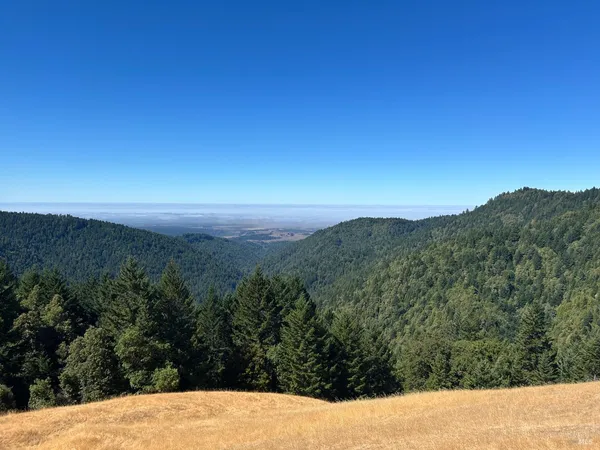 $5,250,000 | 0 Mountain View Road, Manchester, CA 95459