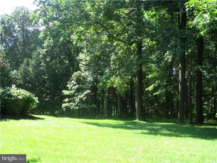 204 Red Lion Road West Chester, PA 19382 - Photo 14 of 18 Back Yard