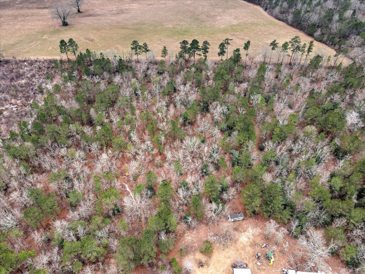 Tr-5 West Wilderness Road Williston, SC 29853 - Photo 10 of 14