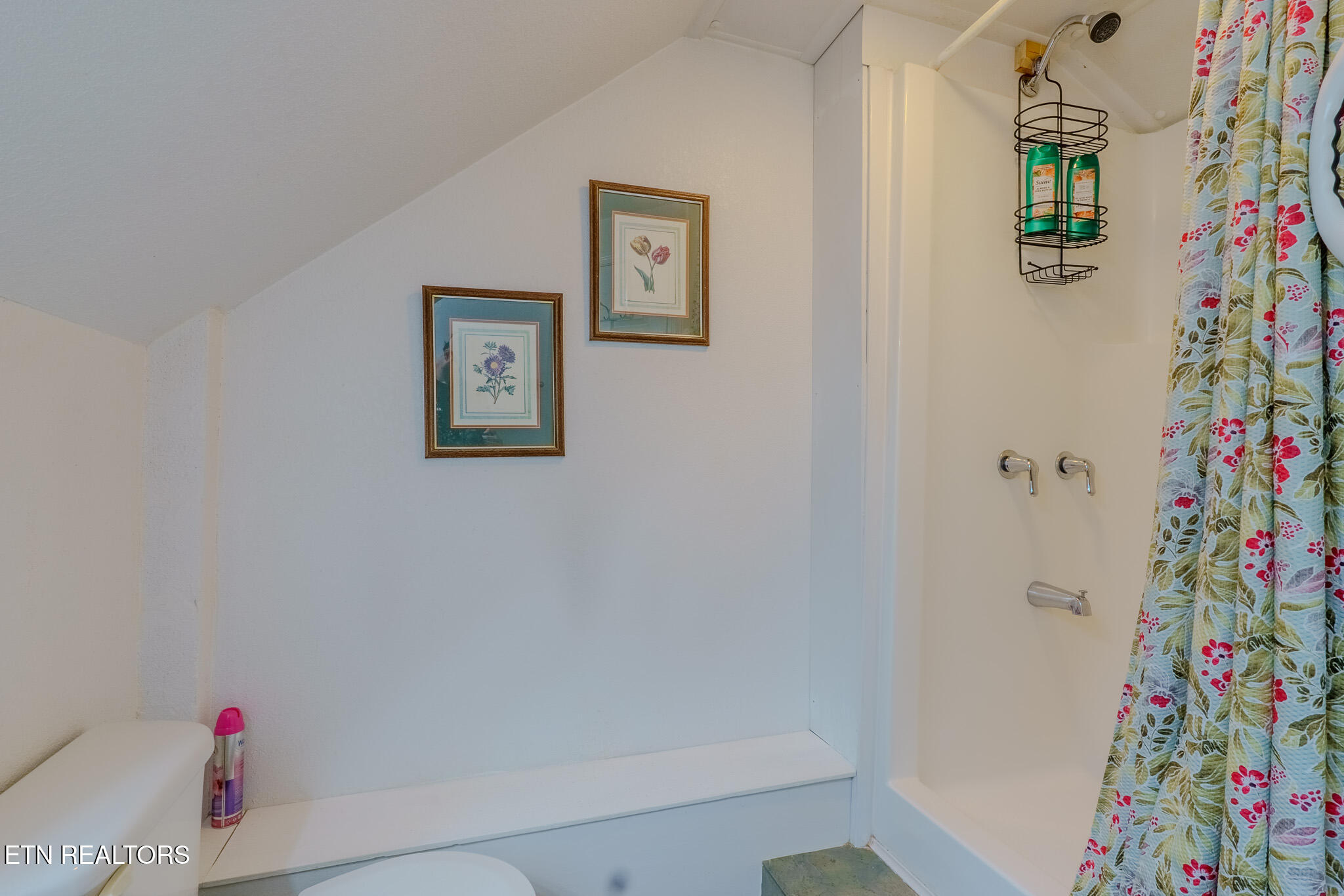 1411 Ridge Road Caryville, TN 37714 - Photo 24 of 55 DSC00727-HDR