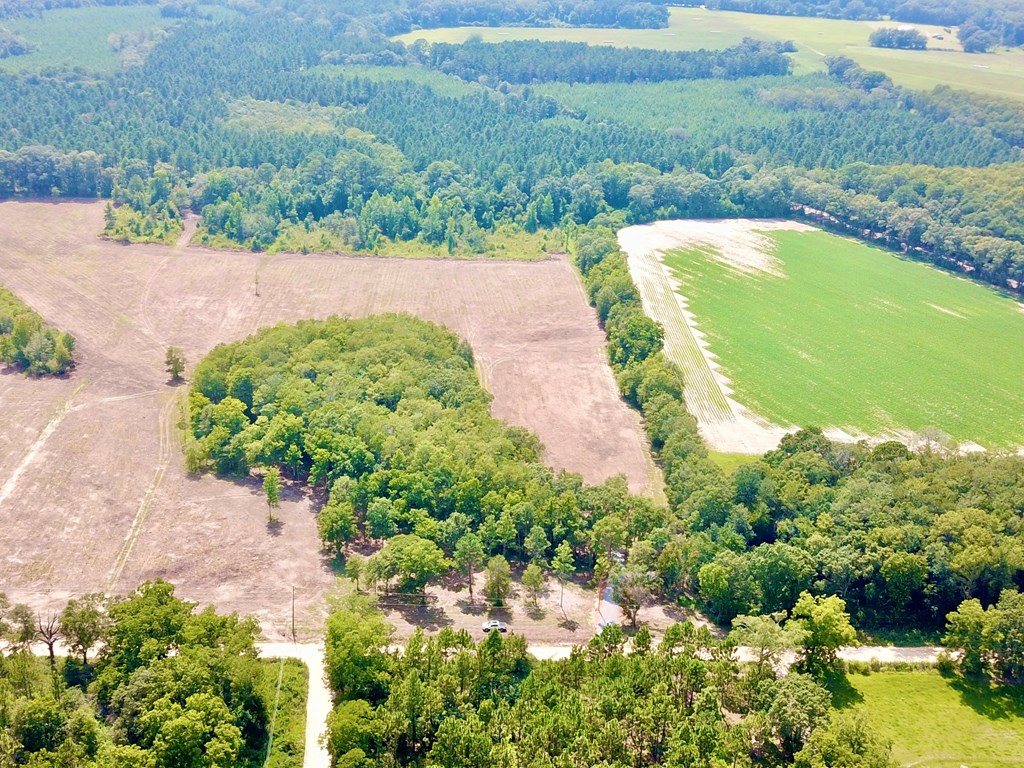 L1 New Hinson Road Slocomb, AL 36375 - Photo 9 of 30