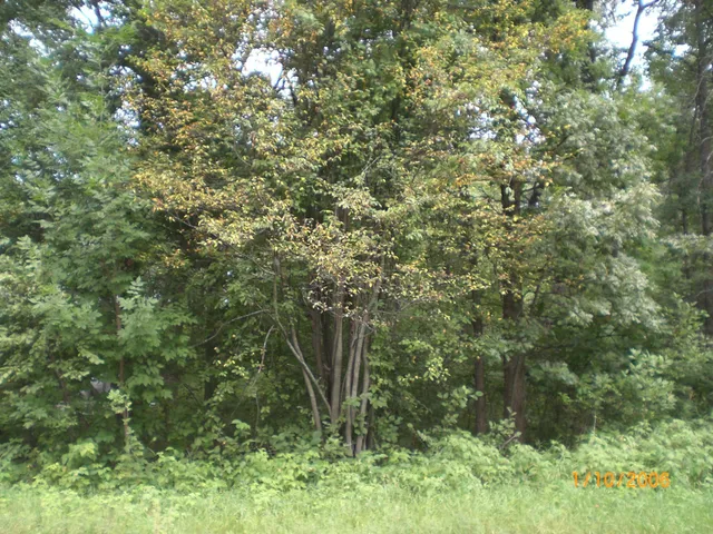 $39,000 | Tbd North Lakeview Drive, Breezy Point, MN 56472