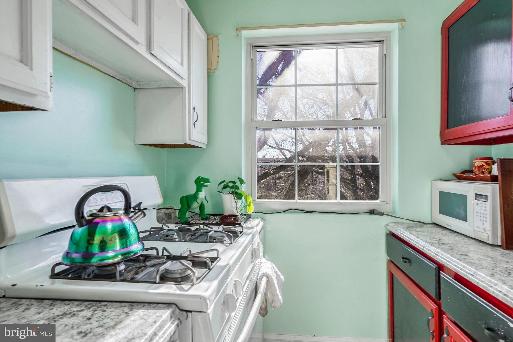 5228 8th Road South, Unit 6 Arlington, VA 22204 - Photo 11 of 18 Kitchen w/ gas stove