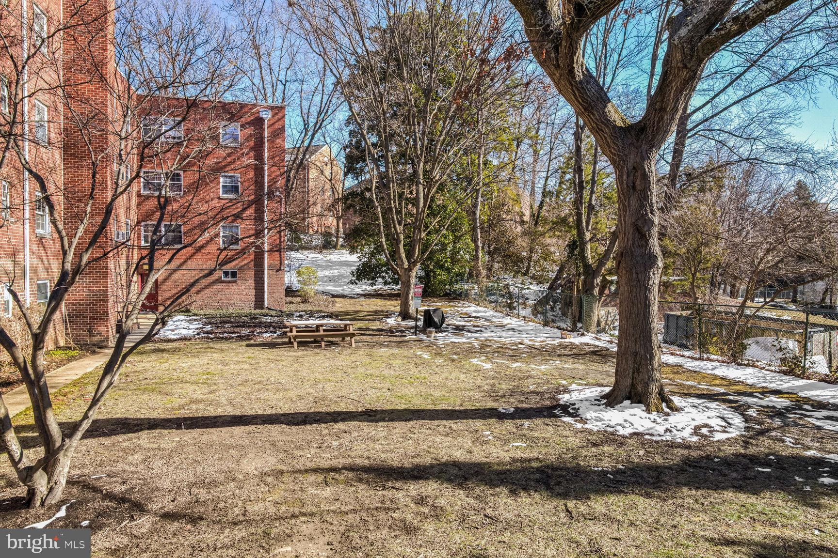 5228 8th Road South, Unit 6 Arlington, VA 22204 - Photo 15 of 18 Picnic area