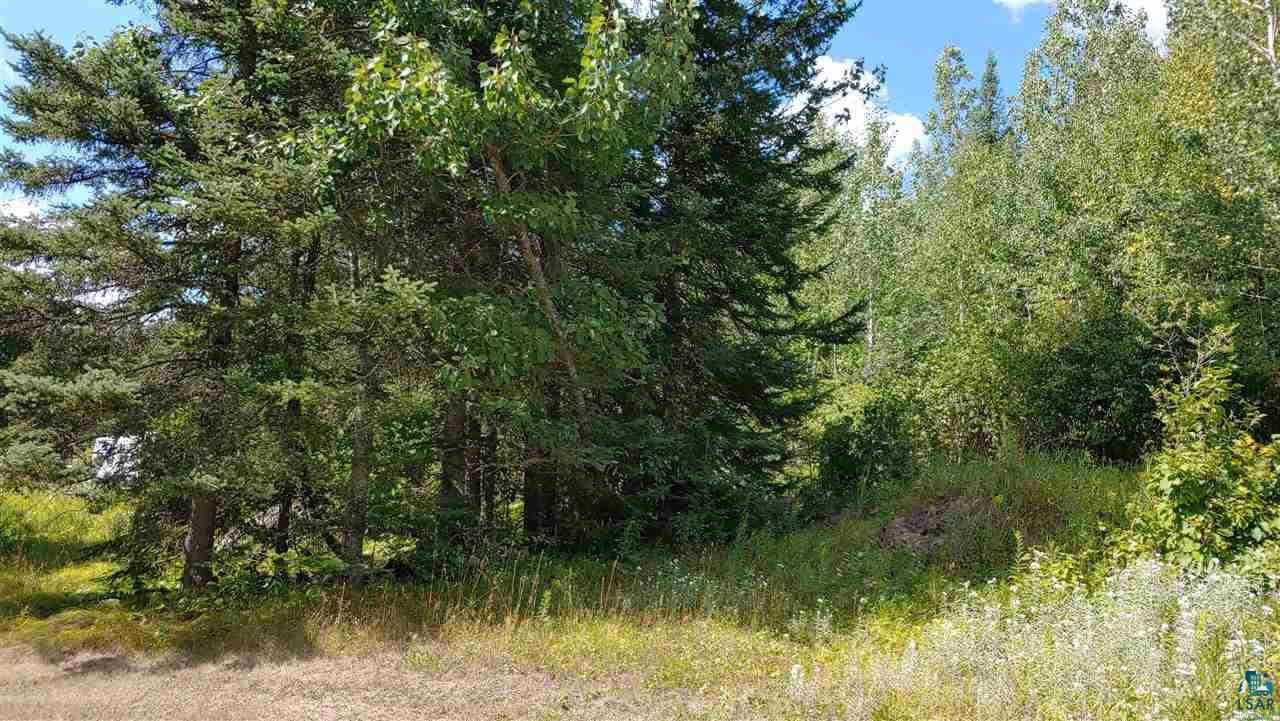 4 Ash River Trail Orr, MN 55771 - Photo 11 of 11