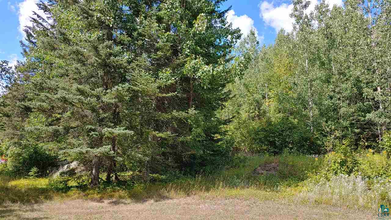 4 Ash River Trail Orr, MN 55771 - Photo 10 of 11