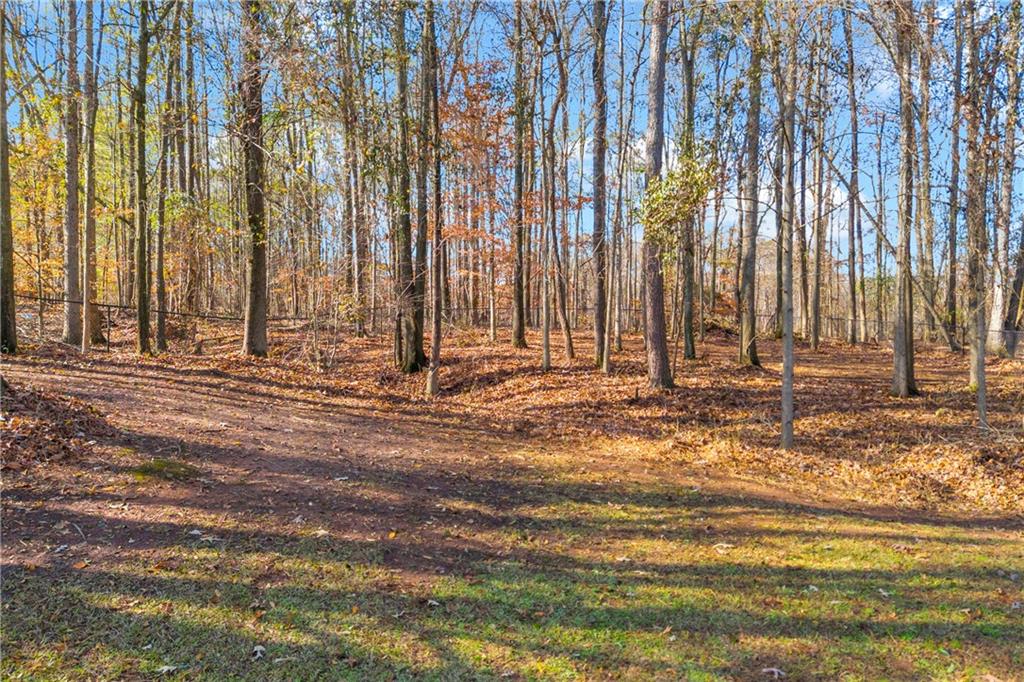 47 Chatham Court Jefferson, GA 30549 - Photo 10 of 69 a view of outdoor space with deck and trees