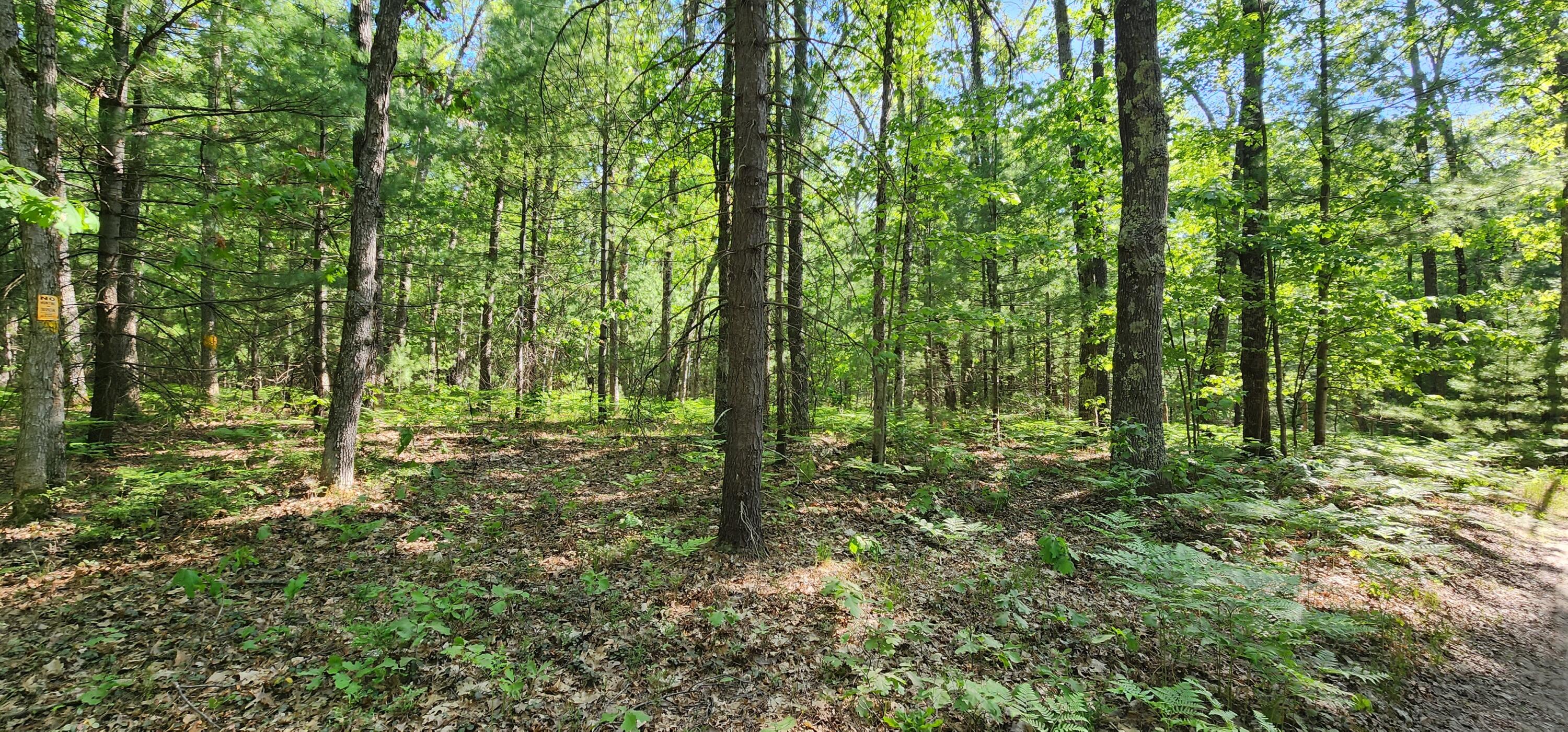 7 Mile Road Irons, MI 49644 - Photo 6 of 14 20230530_173630