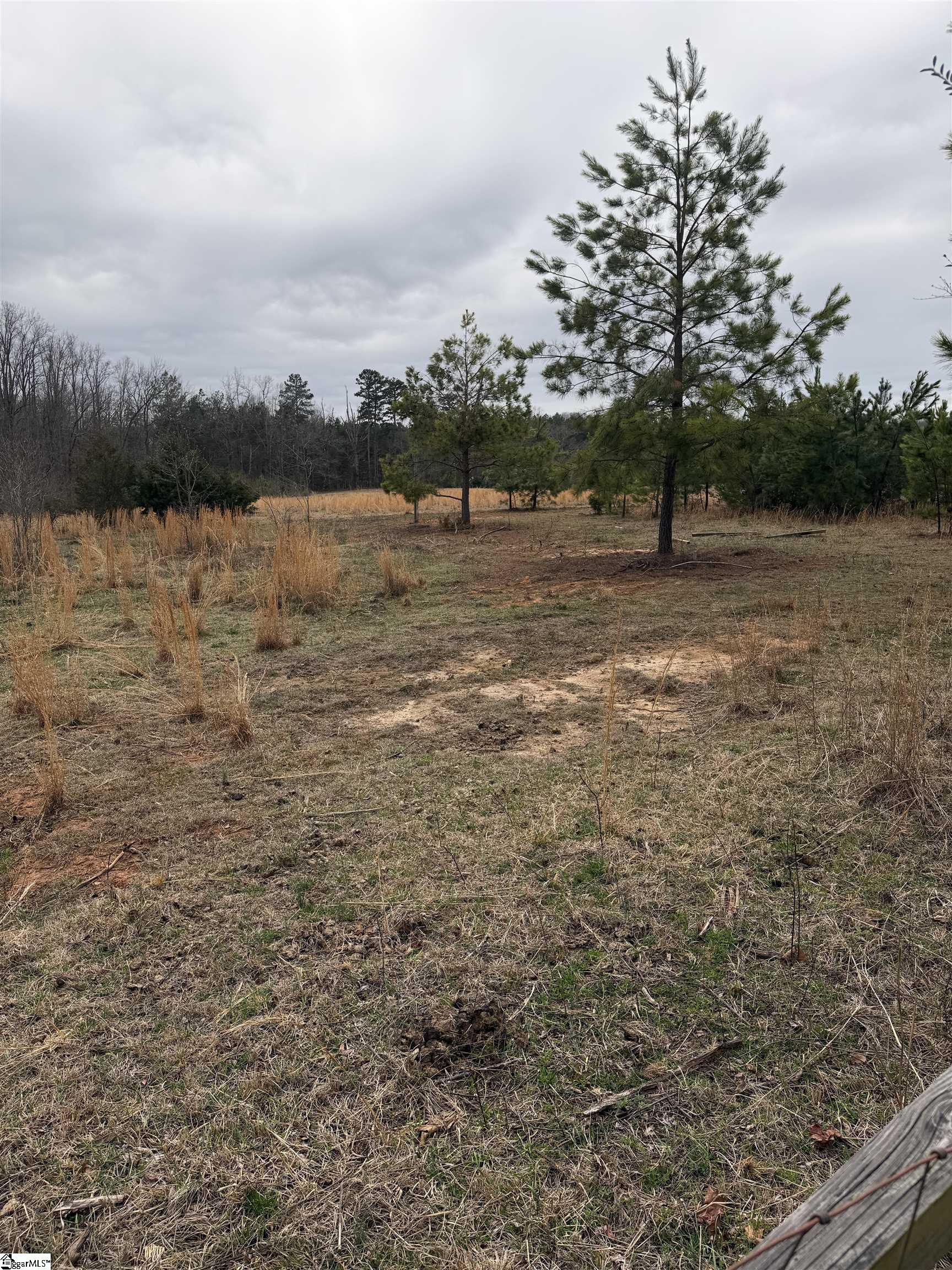 Mt Bethel Road Pickens, SC 29671 - Photo 2 of 9