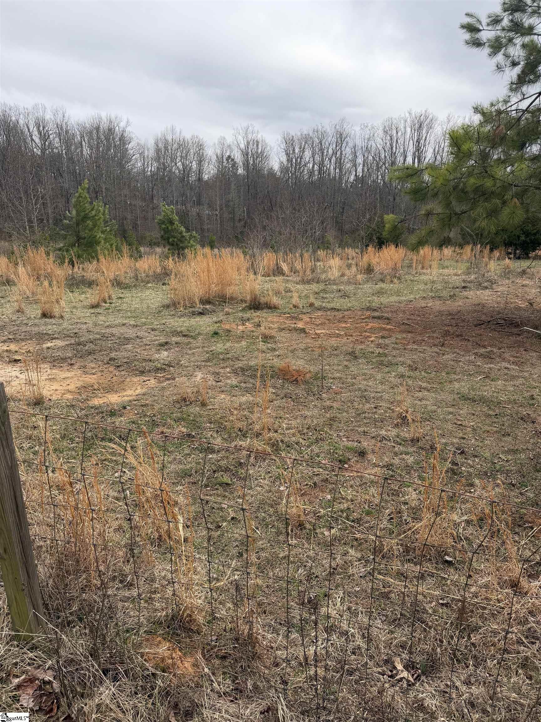 Mt Bethel Road Pickens, SC 29671 - Photo 3 of 9